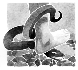 serpent-and-foot-kt